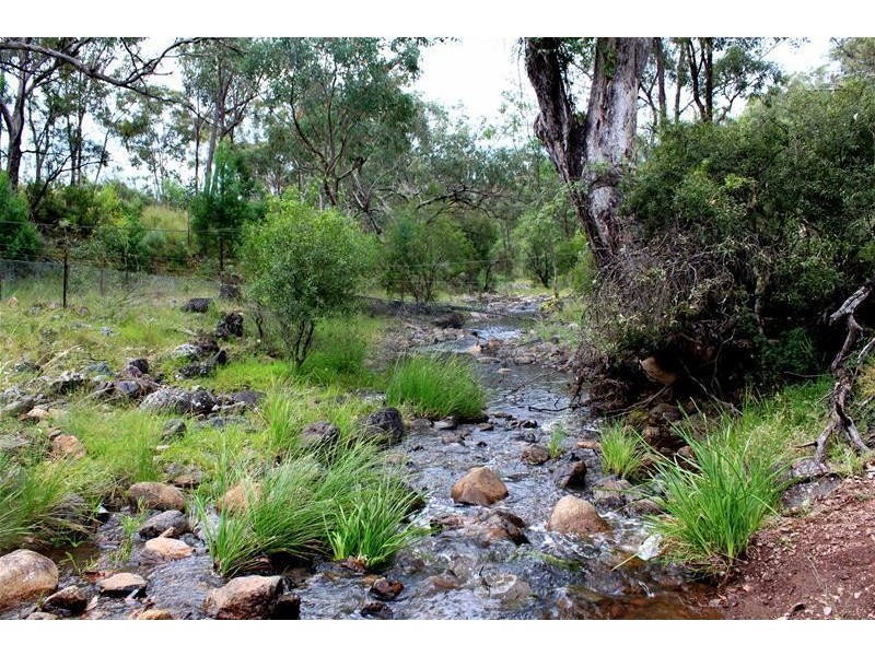 Halls Creek NSW 2346