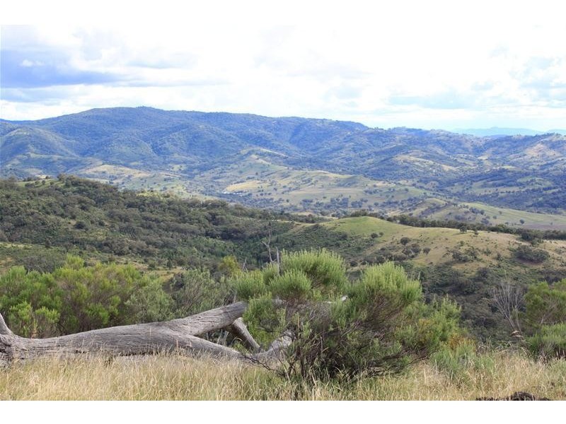 Halls Creek NSW 2346