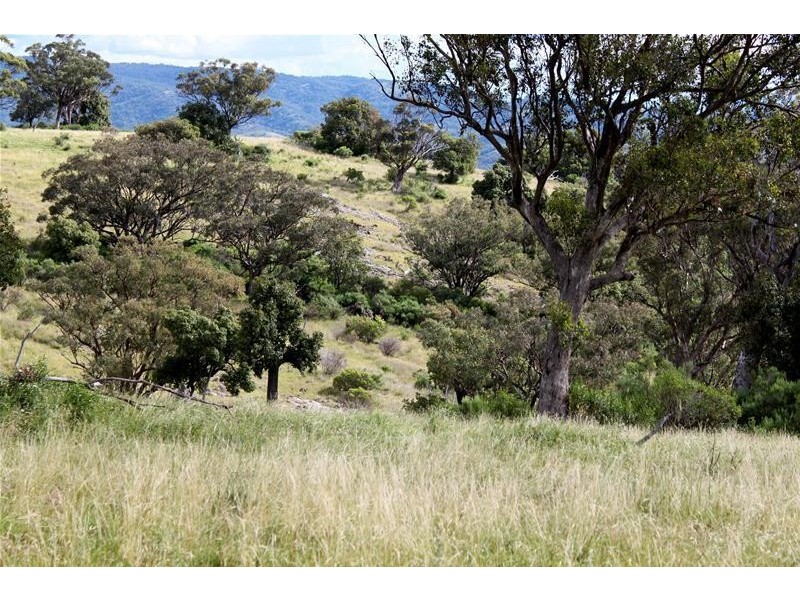 Halls Creek NSW 2346