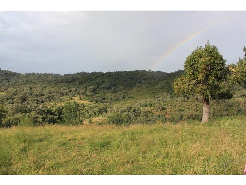 Halls Creek NSW 2346