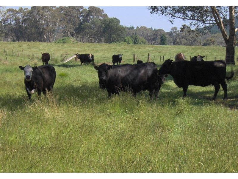 Hanging Rock NSW 2340