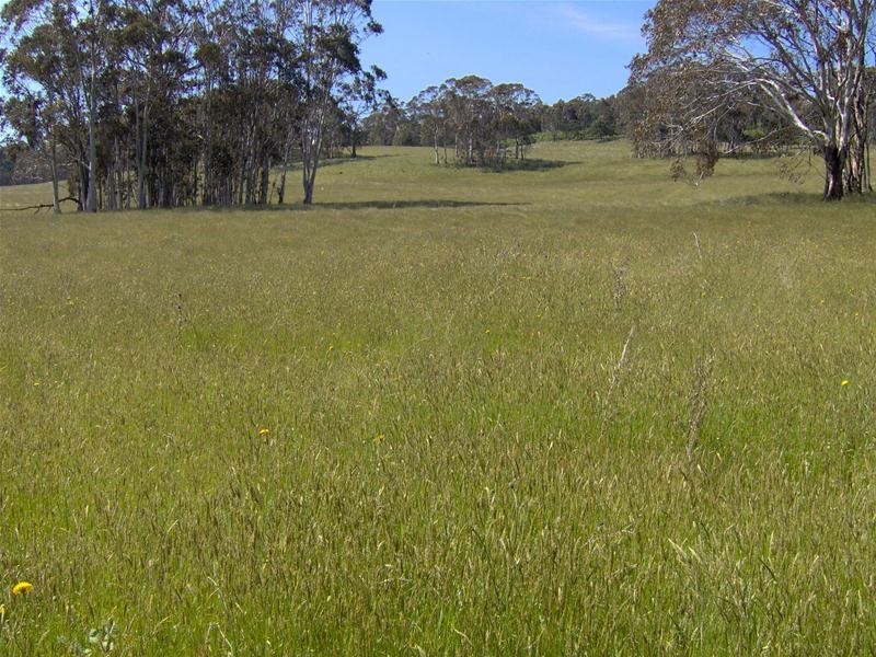 Hanging Rock NSW 2340