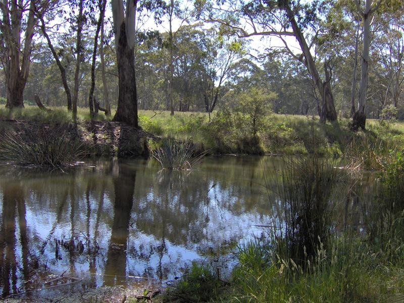 Hanging Rock NSW 2340