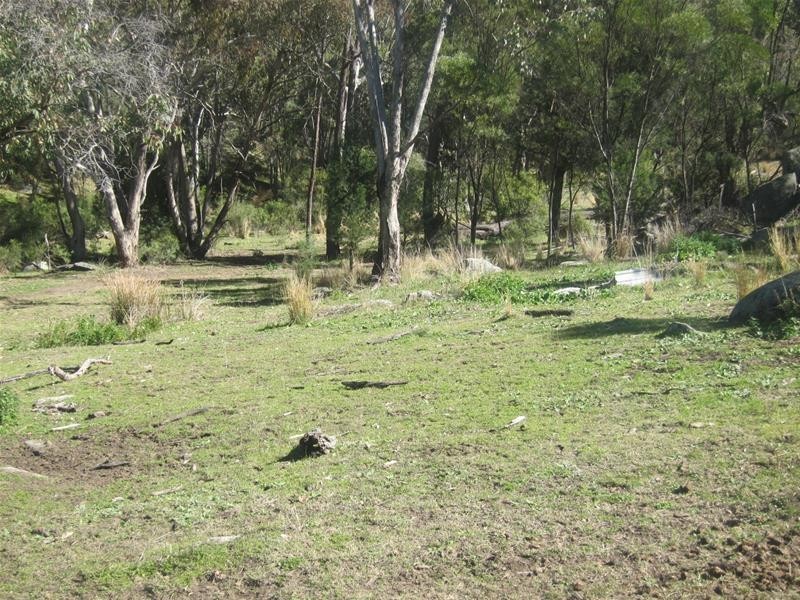 84 West Caragnoo Road, Moonbi NSW 2353