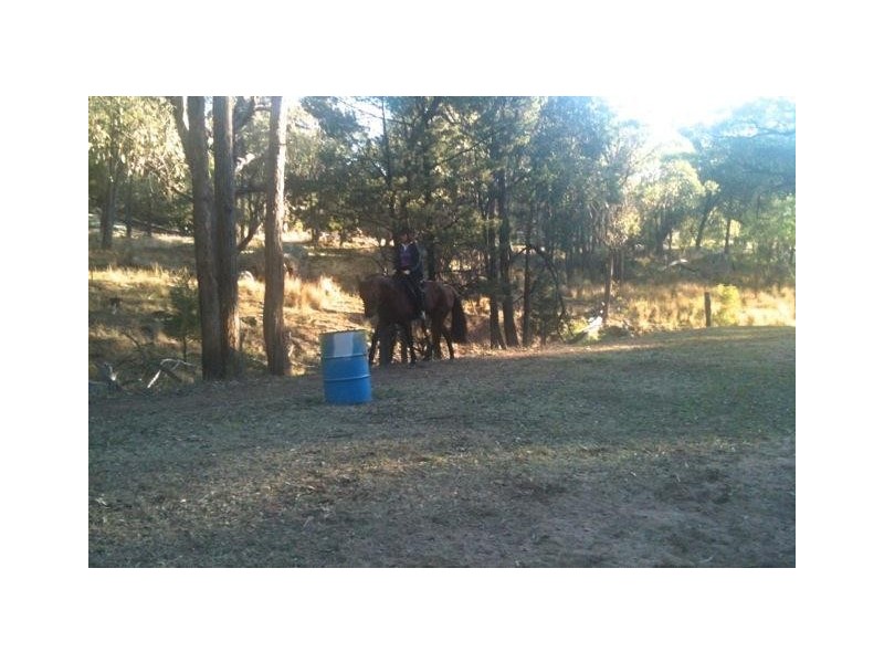 84 West Caragnoo Road, Moonbi NSW 2353