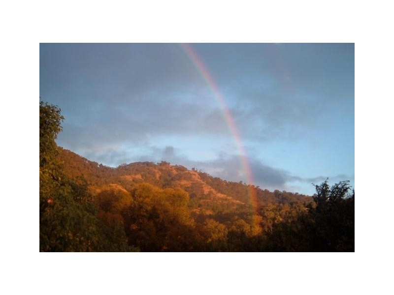 84 West Caragnoo Road, Moonbi NSW 2353