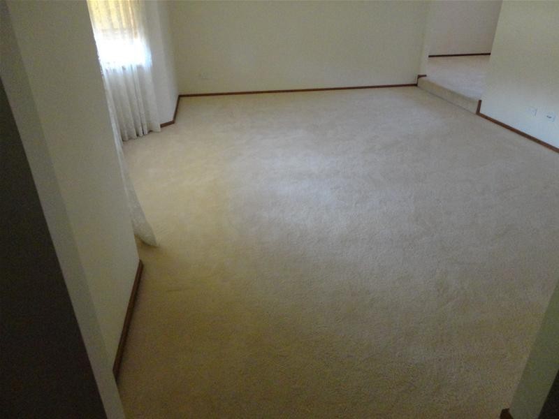 12 The Mews, Tamworth NSW 2340