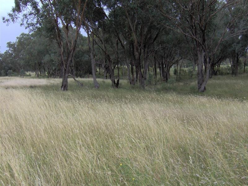 Currabubula NSW 2342