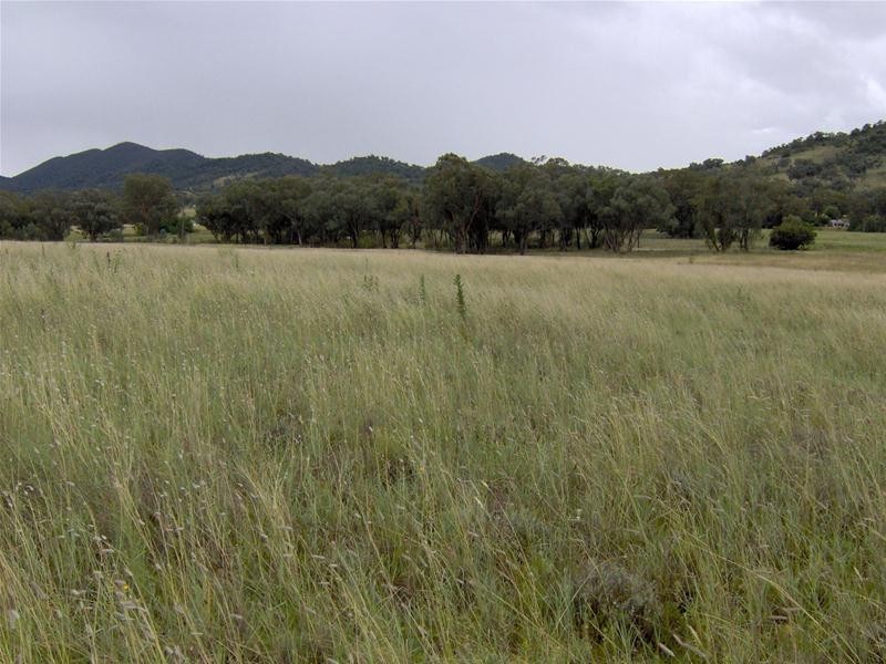 Currabubula NSW 2342