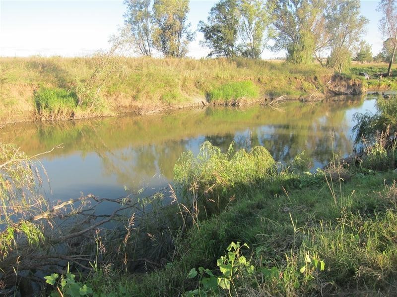 173 Lower Somerton Road, Attunga NSW 2345