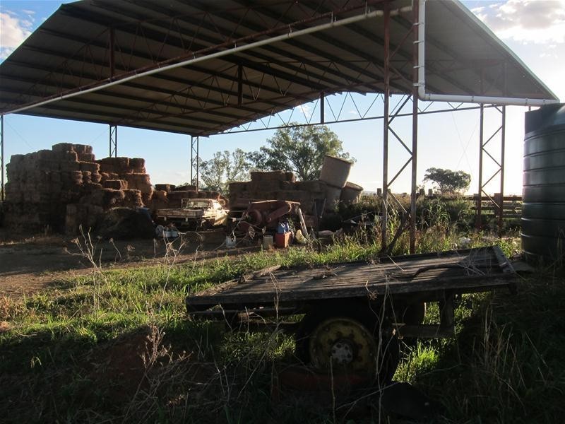 173 Lower Somerton Road, Attunga NSW 2345