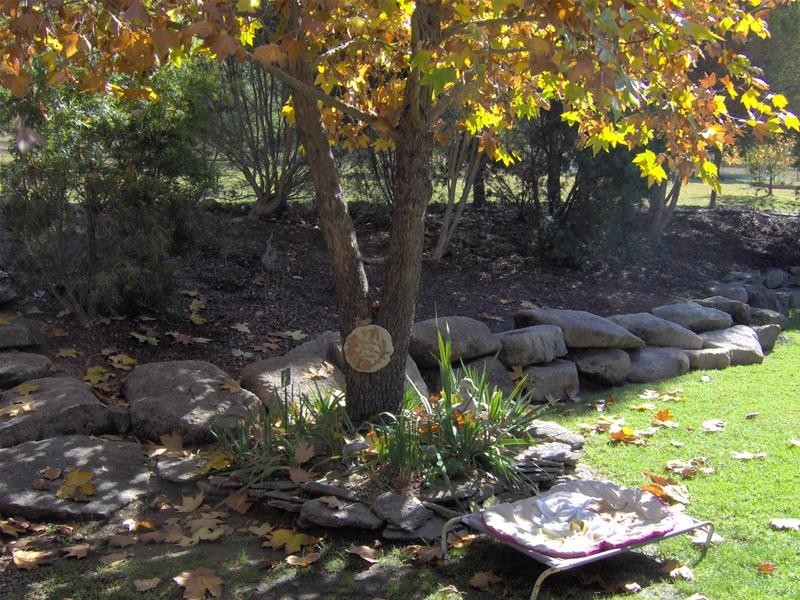 25 Loi Lane, Tamworth NSW 2340