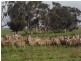 100 Martin Road, Little River VIC 3211