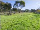 2122 Ballan Road, Anakie VIC 3221