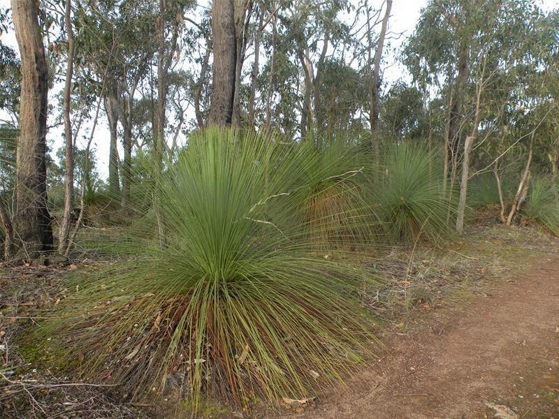 358 De Motts Road, Anakie VIC 3221