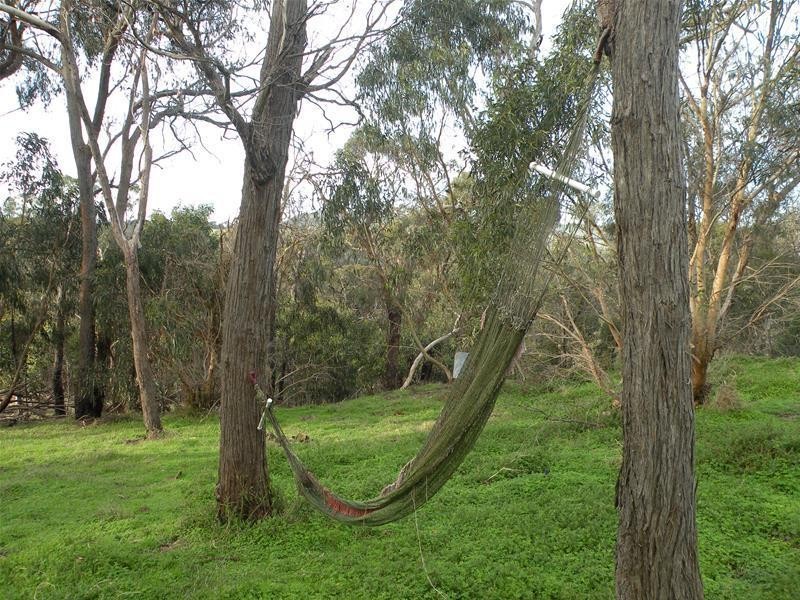 358 De Motts Road, Anakie VIC 3221