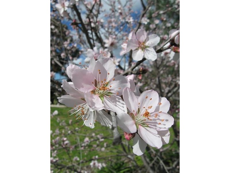 6 Wongalea Drive, Lara VIC 3212