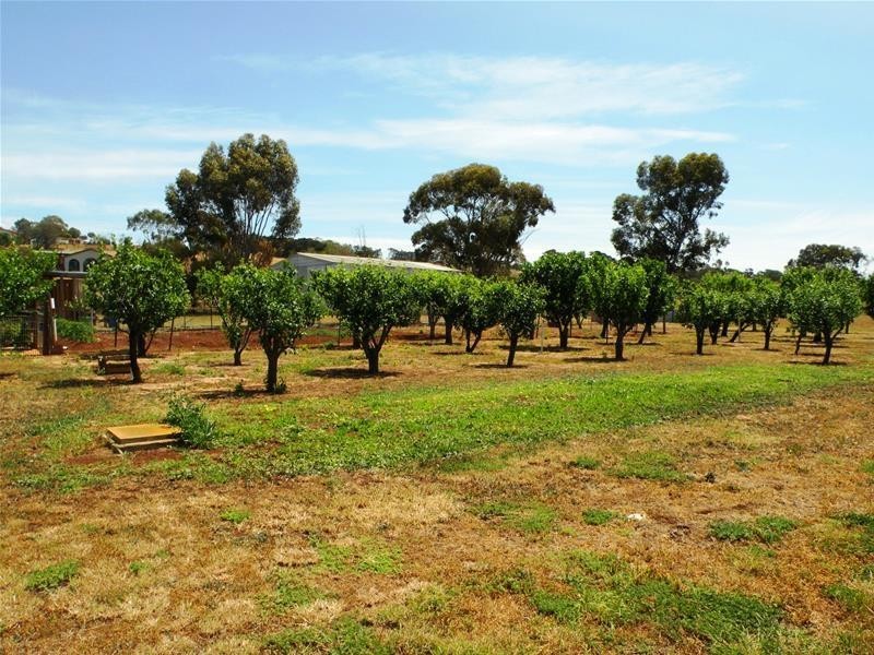 545 Bacchus Marsh Road, Lara VIC 3212