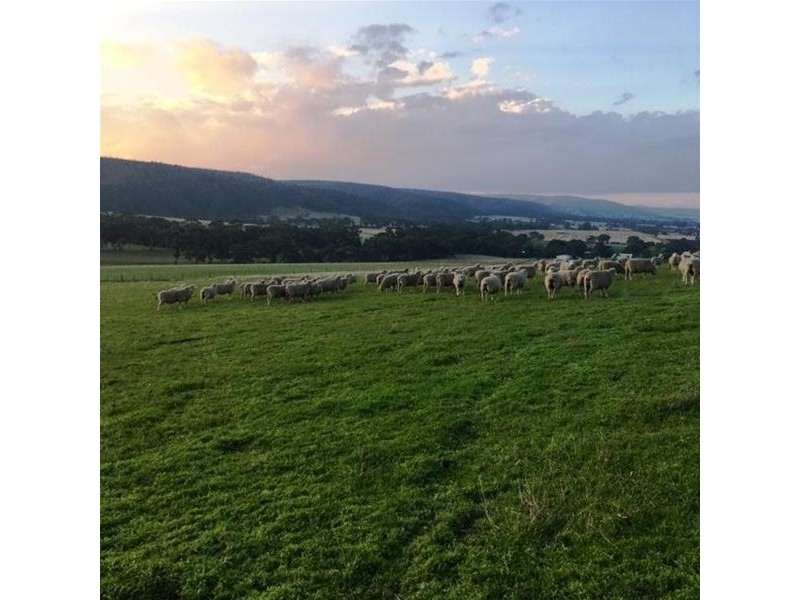 270 Staughton Vale Road, Balliang VIC 3340