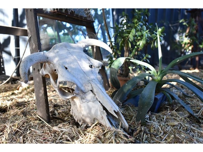 125 Northcote Street, Kurri Kurri NSW 2327