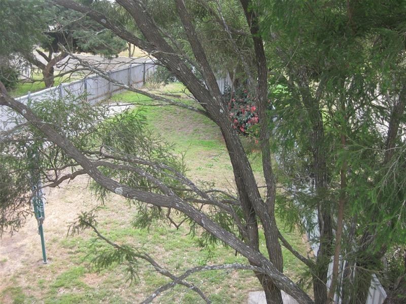 35 Fifth Street, Weston NSW 2326