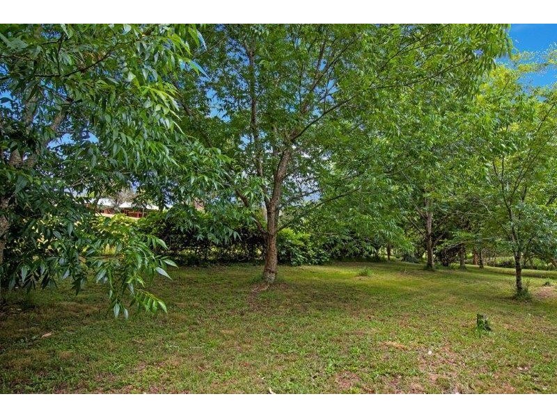 100  Molly’s Grass Road, Tregeagle NSW 2480