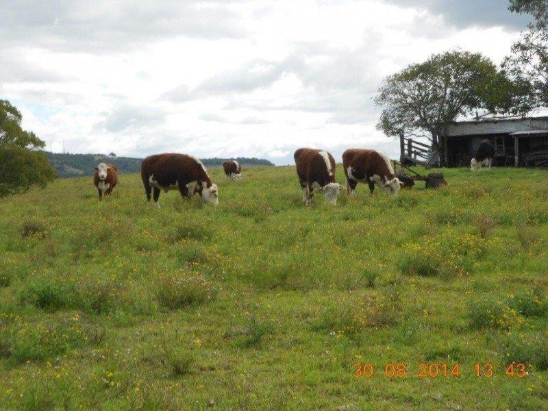 43 Atfield Street, South Gundurimba NSW 2480