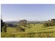 Cameron Park Land Estate, Mcleans Ridges NSW 2480