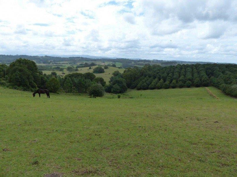 870 Eltham Road, Booyong NSW 2480