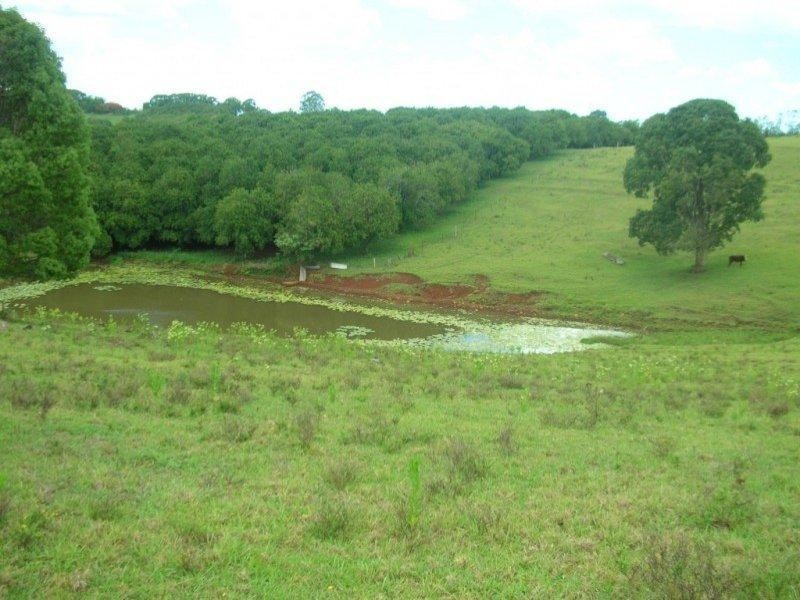 122 Fraser Road, Dunoon NSW 2480