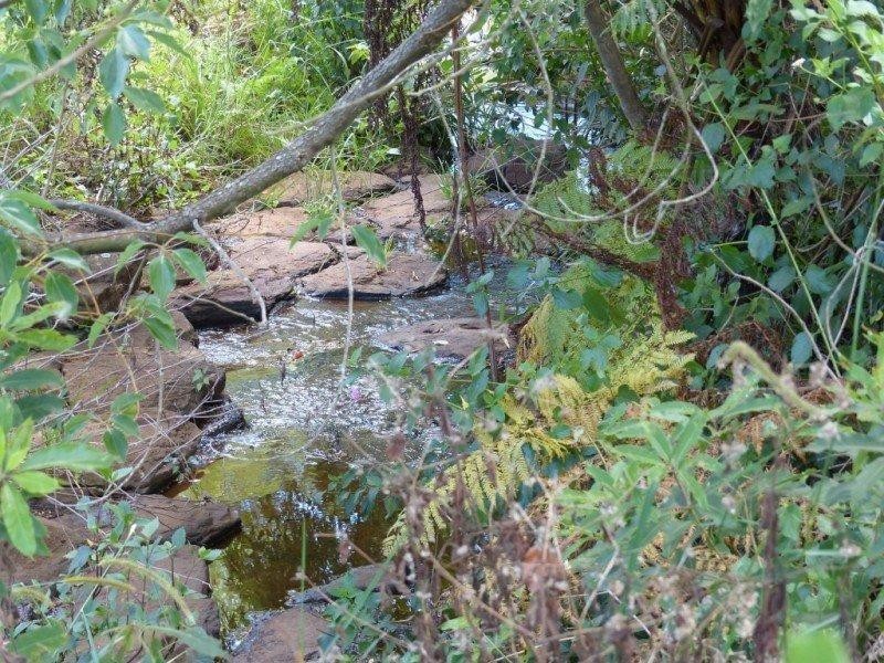 Lot 1 – 30 Spring Creek Place Estate, Wollongbar NSW 2477