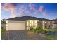 19 Walker Street, Quakers Hill NSW 2763