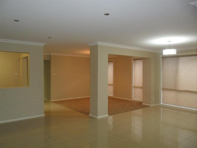 19 Bellinger Street, The Ponds NSW 2769