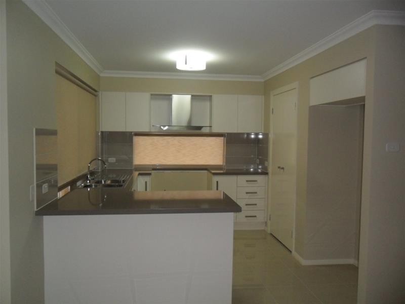 19 Bellinger Street, The Ponds NSW 2769