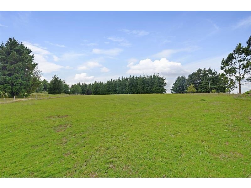 1304 Grand Ridge Road, Blackwarry VIC 3844