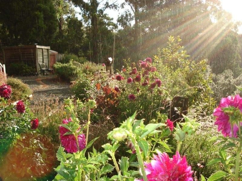 700 Jeeralang West Road, Jeeralang Junction VIC 3840