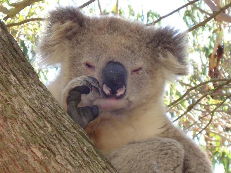 700 Jeeralang West Road, Jeeralang Junction VIC 3840