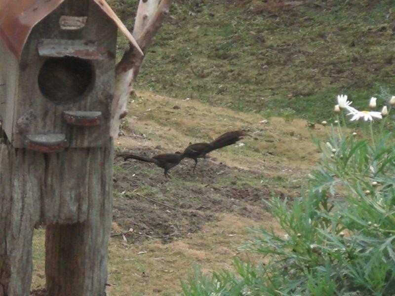 700 Jeeralang West Road, Jeeralang Junction VIC 3840