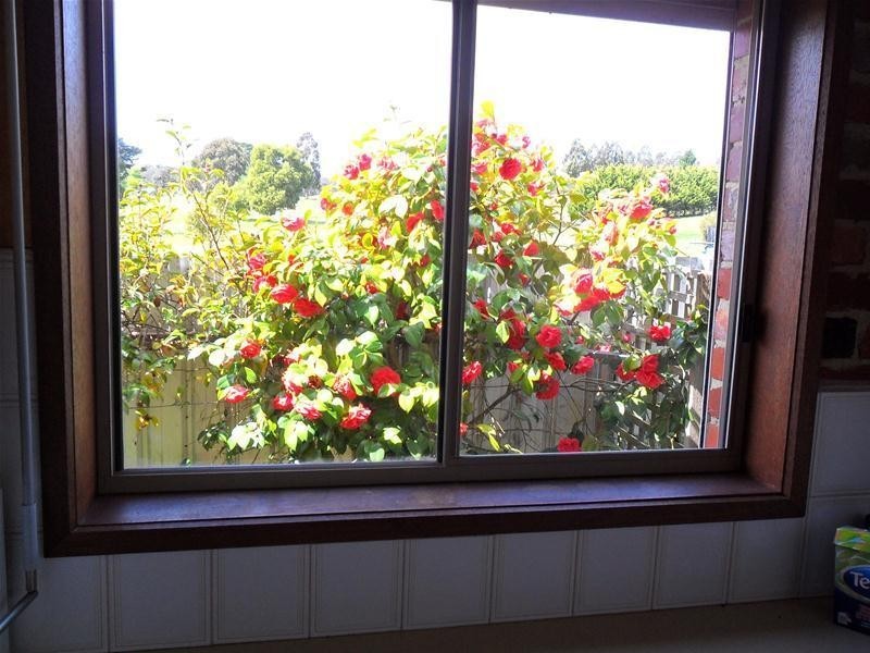 4 Calladale Court, Gormandale VIC 3873