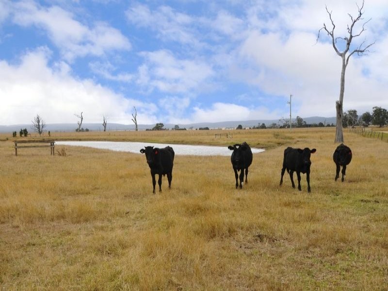 180 Flynn Creek Road, Flynn VIC 3844