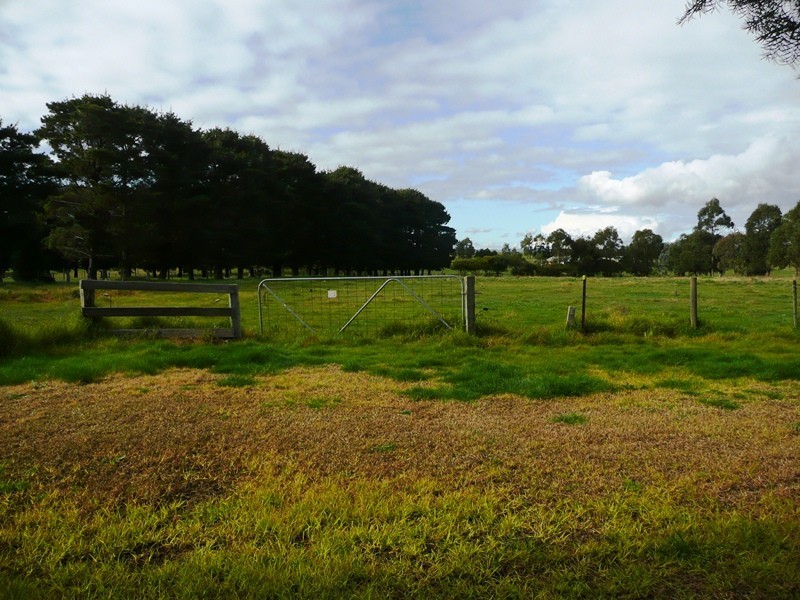 40 Tristiania Drive, Traralgon VIC 3844