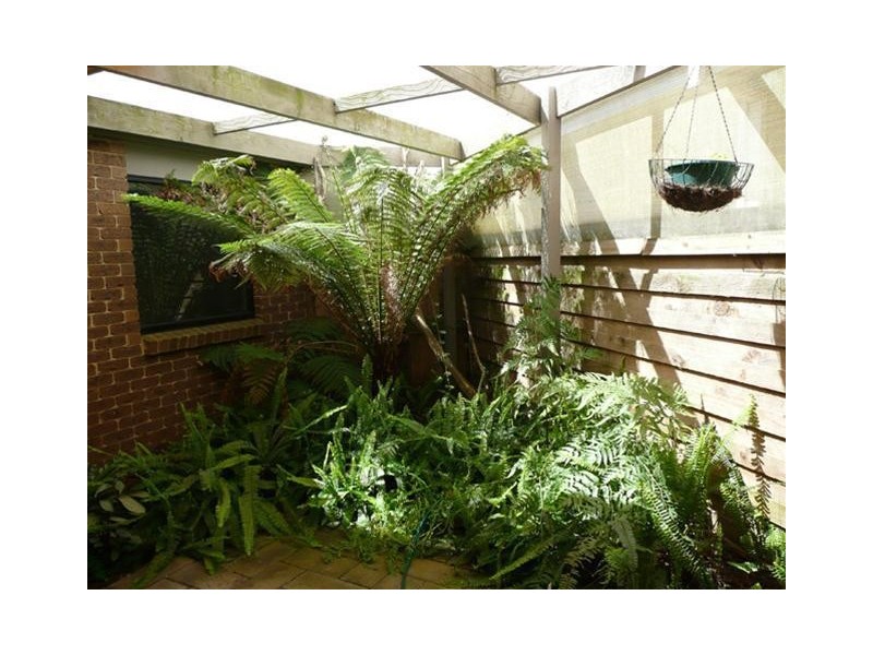 1 Lachlan Close, Traralgon VIC 3844