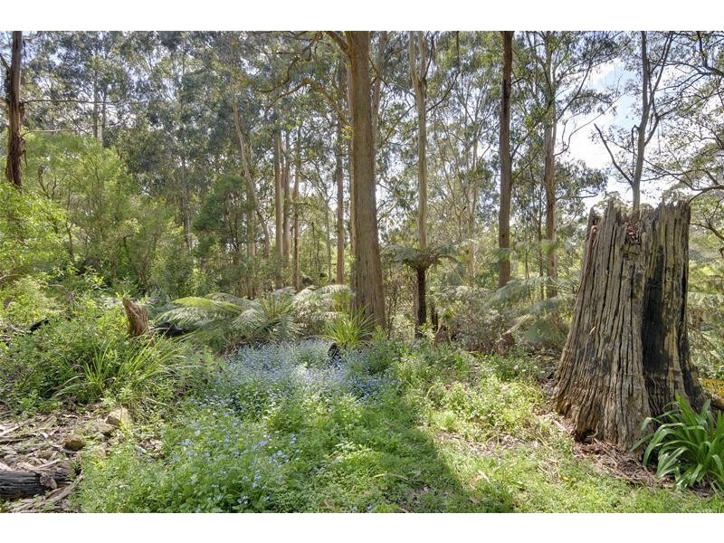 60 Stitchling Street, Carrajung VIC 3844