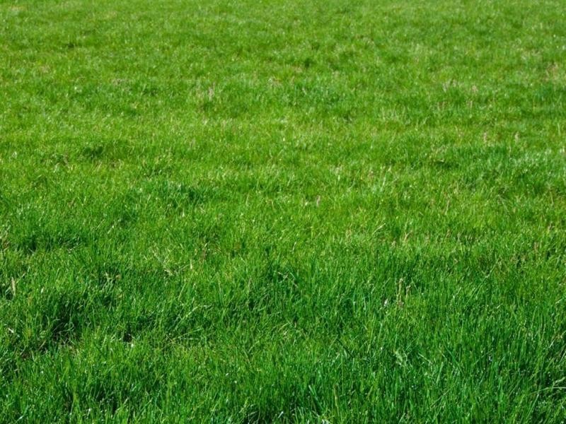 7 Galway Court, Traralgon VIC 3844