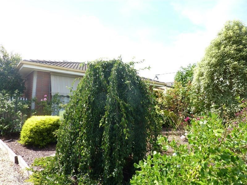 65 Maple Crescent, Churchill VIC 3842