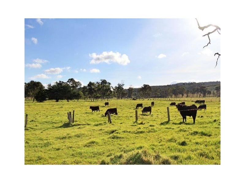 451 Traralgon Tyers Road, Tyers VIC 3844