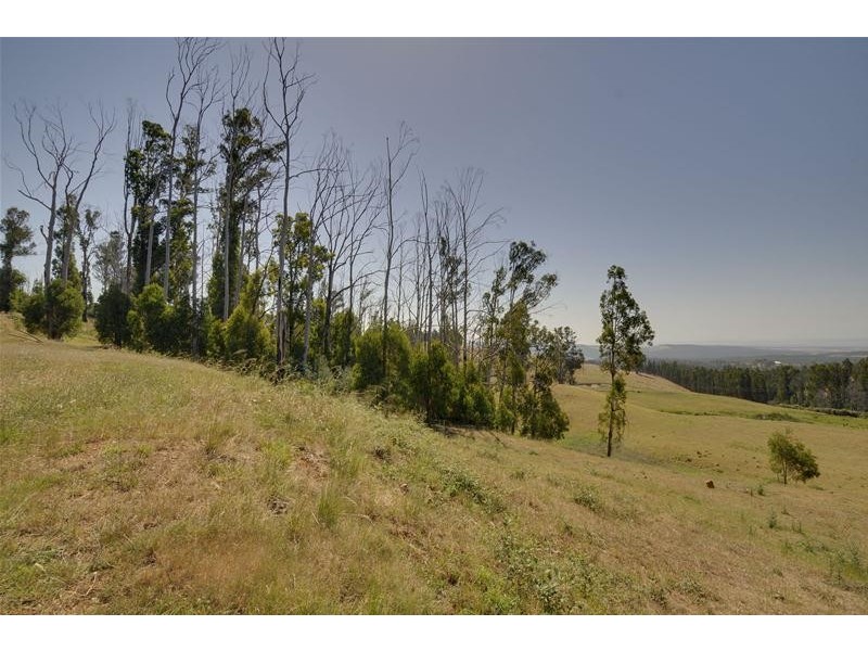 610 Traralgon Balook Road, Callignee VIC 3844