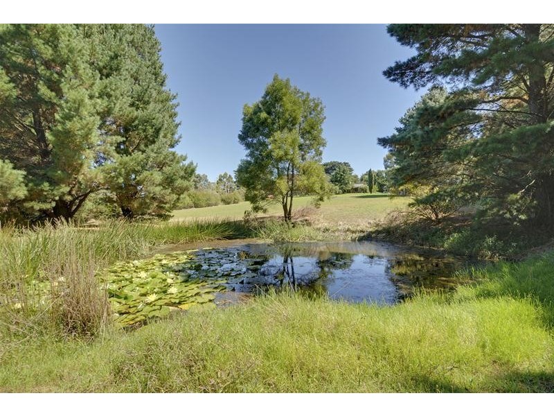 10 Cypress Court, Tyers VIC 3844