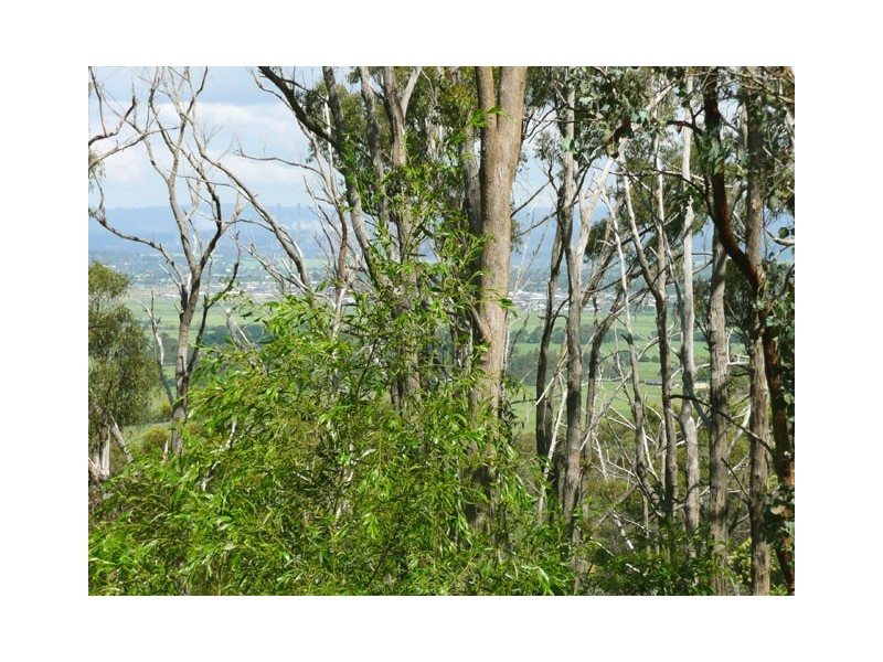 105 Boulton Crescent, Tyers VIC 3844