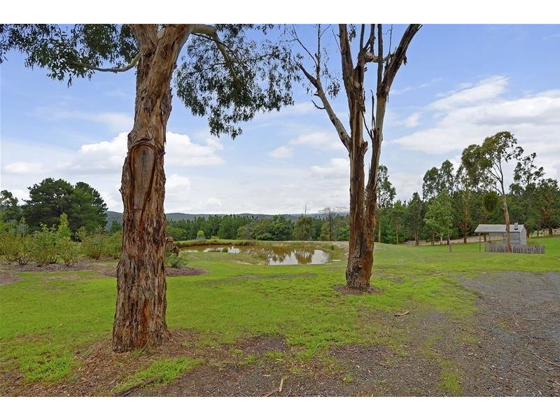 80 Boola Views Road, Tyers VIC 3844